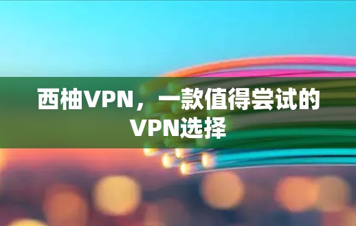西柚VPN，一款值得尝试的VPN选择