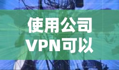 使用公司VPN可以有效保障内部通信和员工安全。以下是一步步的指南，帮助您实现VPN使用