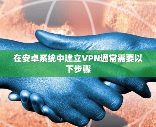 在安卓系统中建立VPN通常需要以下步骤