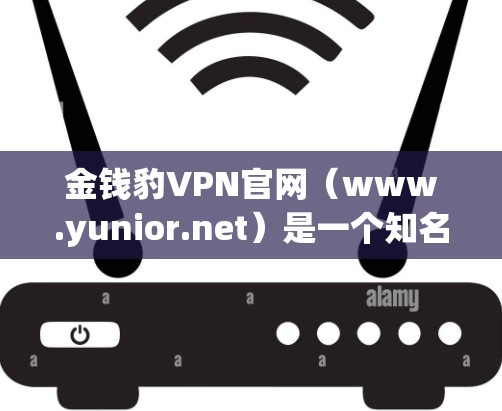 金钱豹VPN官网（www.yunior.net）是一个知名的VPN服务提供商，提供多种VPN选项，包括点对点和端到端的VPN服务。以下是一些关于金钱豹VPN官网的信息