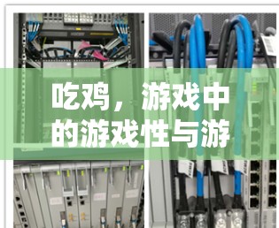 吃鸡，游戏中的游戏性与游戏性游戏的挑战