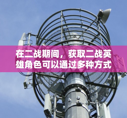 在二战期间，获取二战英雄角色可以通过多种方式实现，同时兼顾经济和隐私保护。以下是一些方法和建议