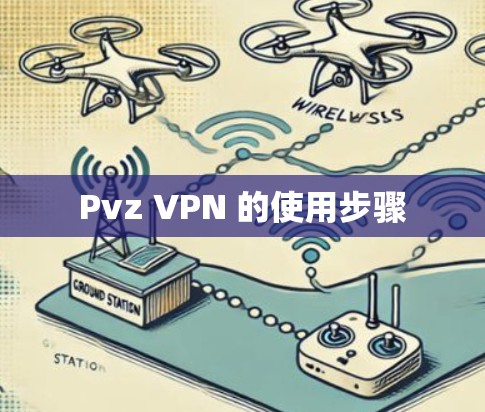 Pvz VPN 的使用步骤 Pvz VPN 的使用步骤
