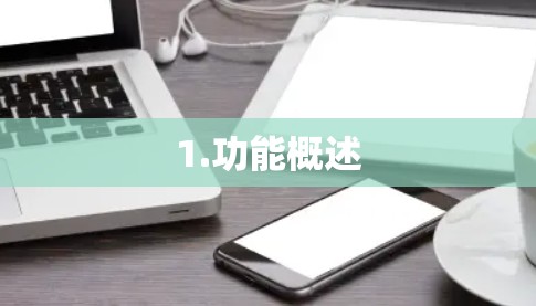 1.功能概述
