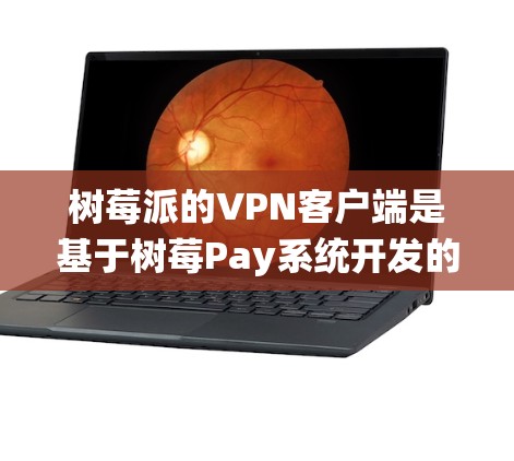 树莓派的VPN客户端是基于树莓Pay系统开发的，旨在为用户提供安全、高效的VPN连接。以下是关于树莓派VPN客户端的一些关键信息