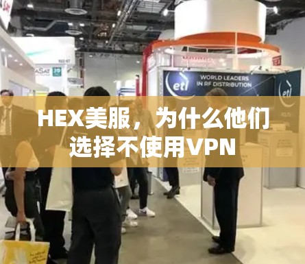 HEX美服，为什么他们选择不使用VPN
