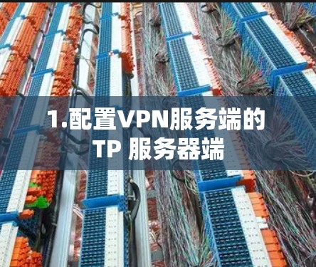 1.配置VPN服务端的 TP 服务器端 1.配置VPN服务端的 TP 服务器端