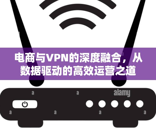 电商与VPN的深度融合,从数据驱动的高效运营之道 电商与VPN的深度融合,从数据驱动的高效运营之道
