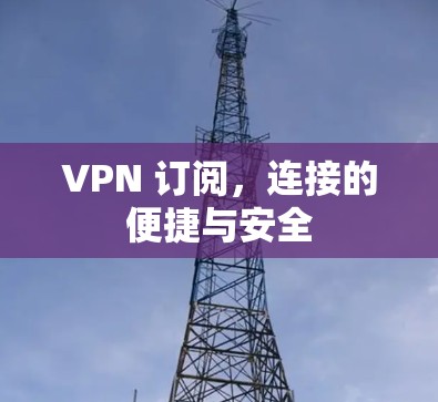 VPN 订阅，连接的便捷与安全