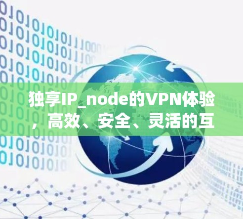 独享IP_node的VPN体验，高效、安全、灵活的互联网连接