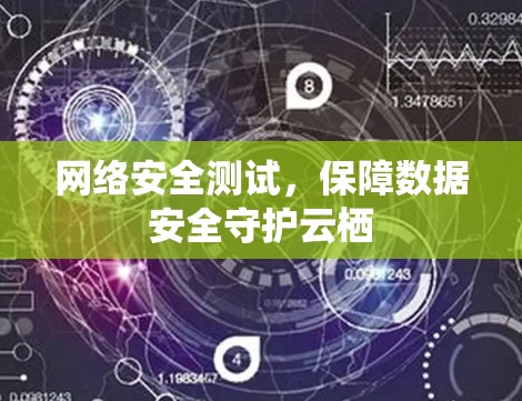 网络安全测试，保障数据安全守护云栖