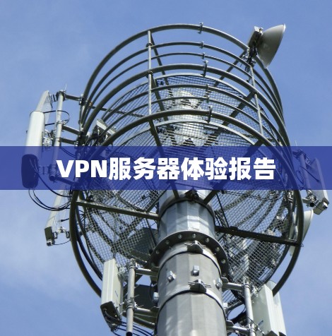 VPN服务器体验报告
