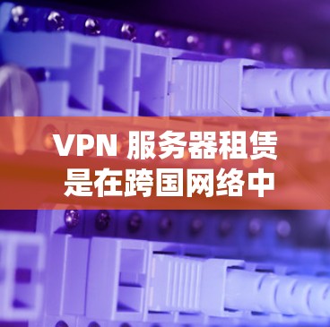 VPN 服务器租赁 是在跨国网络中为用户提供VPN服务的重要工具，广泛应用于游戏、视频流、在线购物等场景。以下是关于 VPN 服务器租赁的一些关键信息和建议