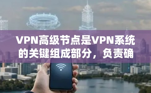 VPN高级节点是VPN系统的关键组成部分，负责确保数据传输的安全和高效。以下是对VPN高级节点的详细分析