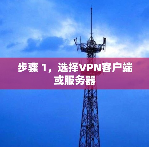 步骤 1，选择VPN客户端或服务器
