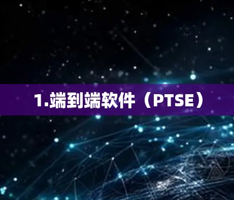 1.端到端软件（PTSE）