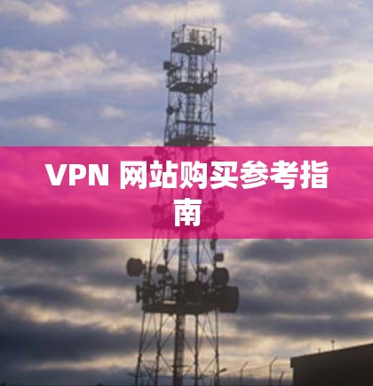 VPN 网站购买参考指南