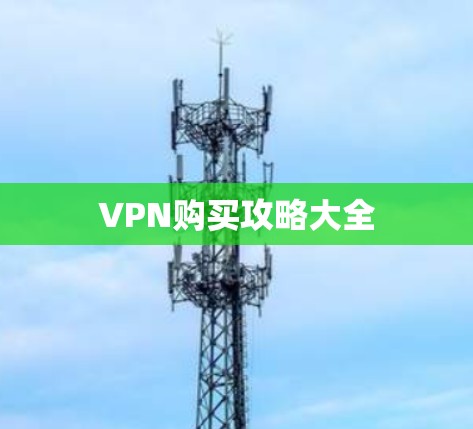 VPN购买攻略大全