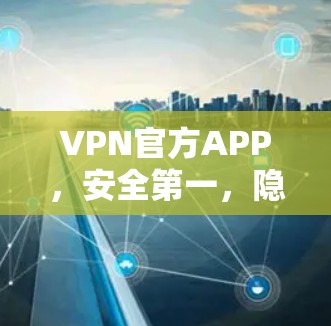 VPN官方APP，安全第一，隐私至上，守护你的网络世界