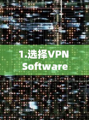 1.选择VPN Software