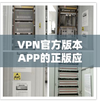 VPN官方版本APP的正版应用是通过正规渠道提供的，确保其安全性和兼容性。以下是找到这些应用的步骤