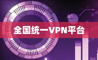 全国统一VPN平台