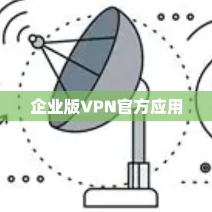 企业版VPN官方应用