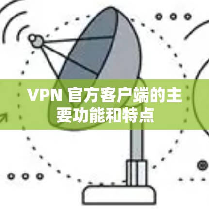 VPN 官方客户端的主要功能和特点