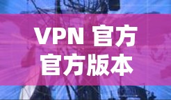 VPN 官方官方版本的特点