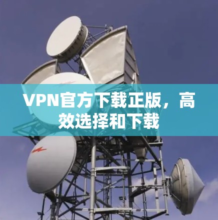 VPN官方下载正版，高效选择和下载