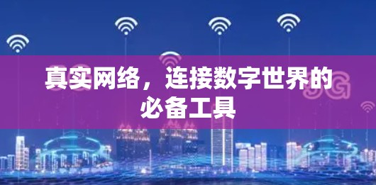 真实网络，连接数字世界的必备工具
