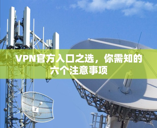 VPN官方入口之选，你需知的六个注意事项