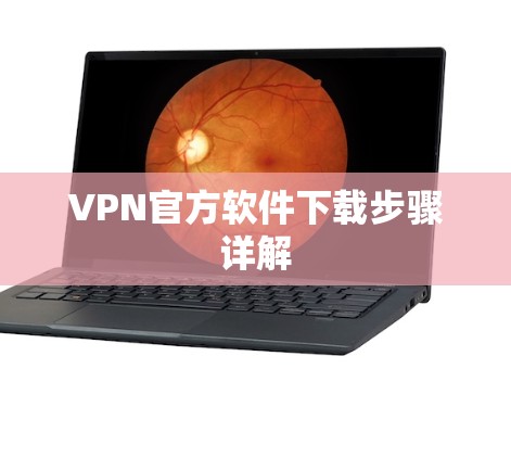 VPN官方软件下载步骤详解