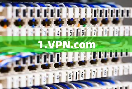 1.VPN.com 1.VPN.com