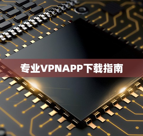 专业VPNAPP下载指南