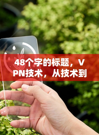 48个字的标题，VPN技术，从技术到生活的艺术