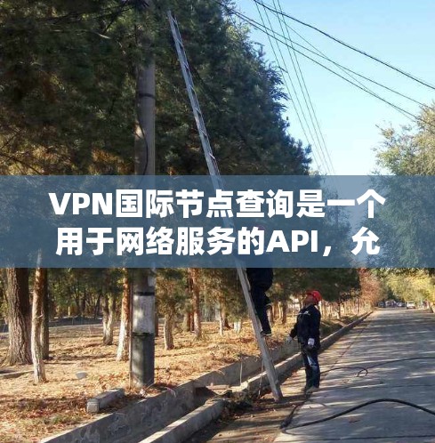 VPN国际节点查询是一个用于网络服务的API，允许开发者在代码中访问外部服务器，如国际VPN服务器，以实现跨服务器访问。以下是详细的步骤和信息