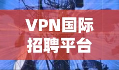 VPN国际招聘平台是一种利用VPN技术来获取国际人才的渠道，通常包括申请、面试、面试通过、签约和支付费用等环节。以下是一些常见的VPN国际招聘平台及其特点