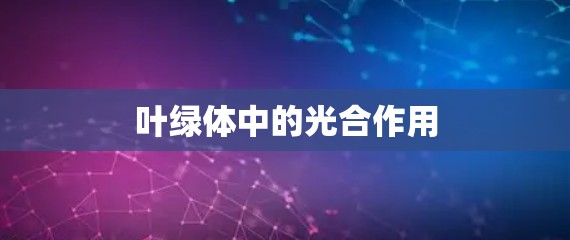 叶绿体中的光合作用