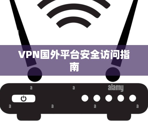 VPN国外平台安全访问指南