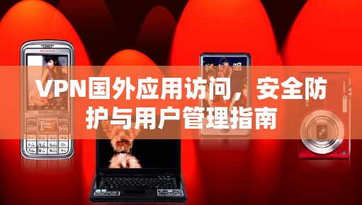 VPN国外应用访问，安全防护与用户管理指南