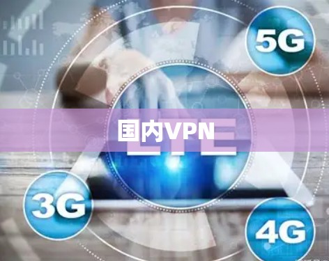国内VPN