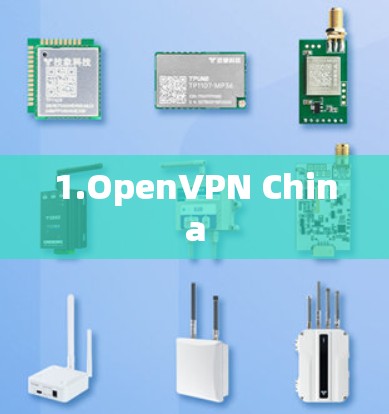 1.OpenVPN China