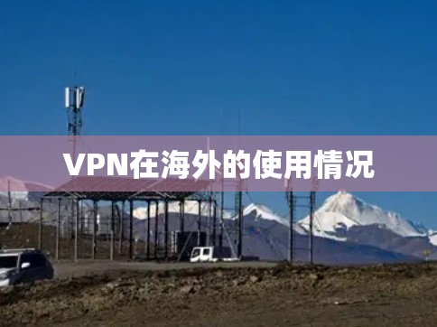 VPN在海外的使用情况