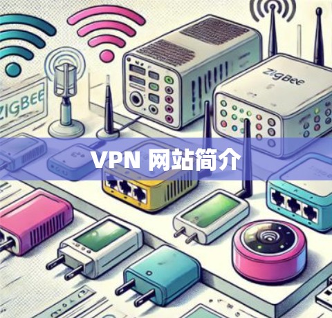 VPN 网站简介