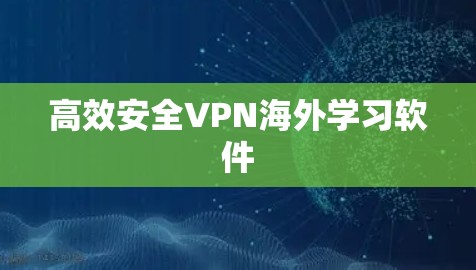 高效安全VPN海外学习软件
