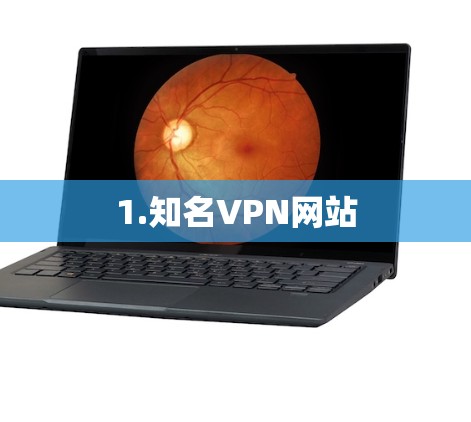 1.知名VPN网站 1.知名VPN网站