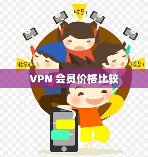 VPN 会员价格比较