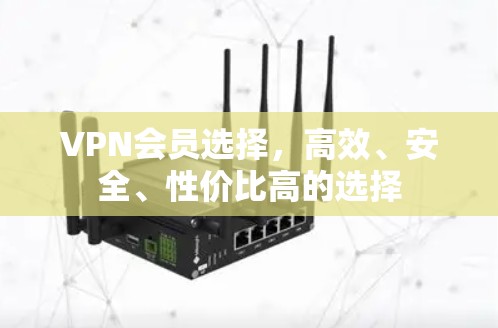 VPN会员选择，高效、安全、性价比高的选择