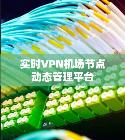 实时VPN机场节点动态管理平台